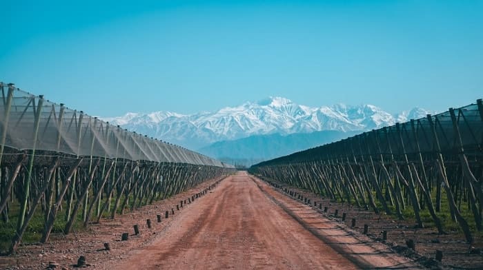 Mejores zonas Dónde alojarse en Mendoza